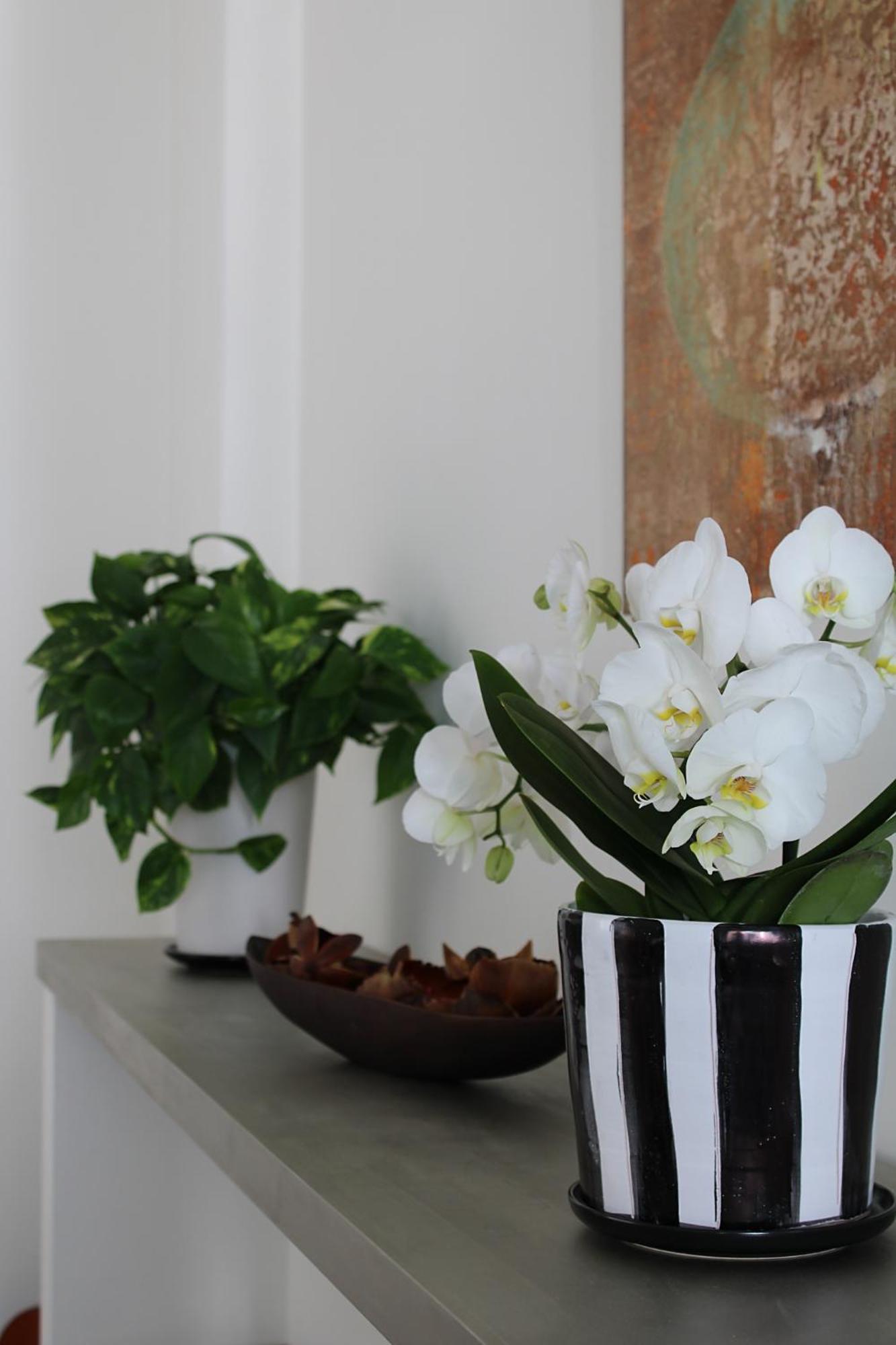 Unico Loft Apartment ริมินี ภายนอก รูปภาพ